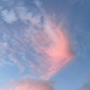 videogamegirl23 avatar