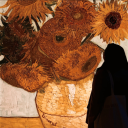 viento-sagrado avatar