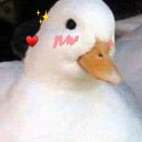 viewfromtheritztotherubble avatar