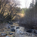 viewsfromthe295th avatar