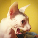 vignettingfilter-blog avatar