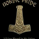 vikingfrommars avatar