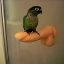 vikingpirate313 avatar