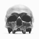 vikingpirate507 avatar