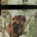 viktor-vaughn avatar