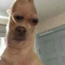 viktorisdaddy avatar