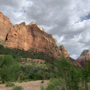 vilifyandnullify avatar