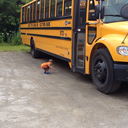 villageidiot19 avatar