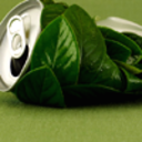 villiageidiot avatar