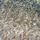 vincent----vega avatar