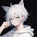 vincent-navvils avatar