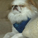 vincent-van-gogh-away-blog avatar