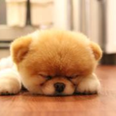 vincentvangoawayimshy avatar