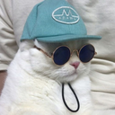 vincentvxngogh avatar