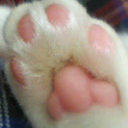 vincicat-blog avatar