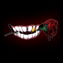 vinegar-chipzz avatar