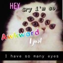 vingt-soixiante avatar