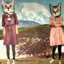 vintage-cats-blog avatar