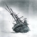 vintage-polar avatar