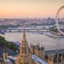 vintage-wonder avatar