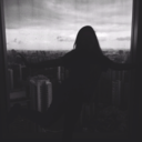 vintage-zebras-blog avatar