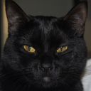 vintage1960scorpio avatar