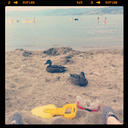 vintagegalpal avatar