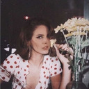 vintagehoneys-blog avatar