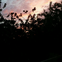 violence-in-the-rain avatar