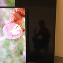 violence-in-theflowers avatar