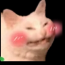 violentcheese avatar