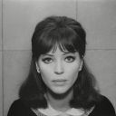 violentvioletsblog avatar