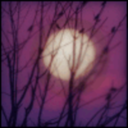 violentvioletsky avatar