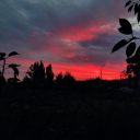 violeta222sblog avatar