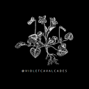 violetcavalcades avatar