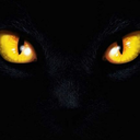 violetnhz-blog avatar