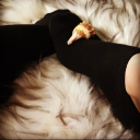 violetrose133 avatar