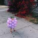 violetsarenotviolent avatar