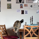 violettestrefusis avatar