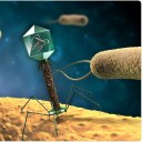 viralpodcast-blog avatar