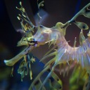 virchowmethod avatar