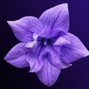 virgamsysxvolumes avatar