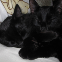 virginteenblood avatar