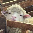 virgoiscariot avatar