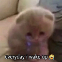 viridian-crow avatar