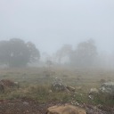 viridian-eternia avatar