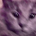 virtualbagel13 avatar