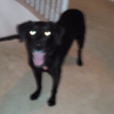 virtualprncess avatar