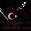 virtualtigermilkshake avatar