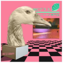 virtuosogoose avatar